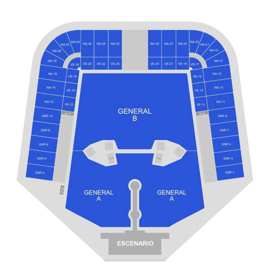 Dua Lipa - Estadio GNP (5 DE DICIEMBRE)